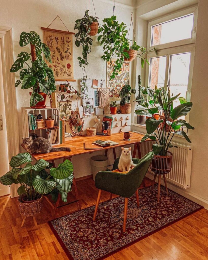 Do Plants Make You Happier?